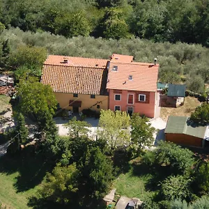 Ospitalità Rurale L'uccelliera Lucques